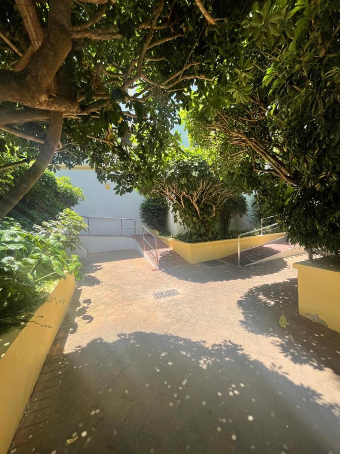 Apartamento Jardines Del Rocio Torre Del Mar Dış mekan fotoğraf