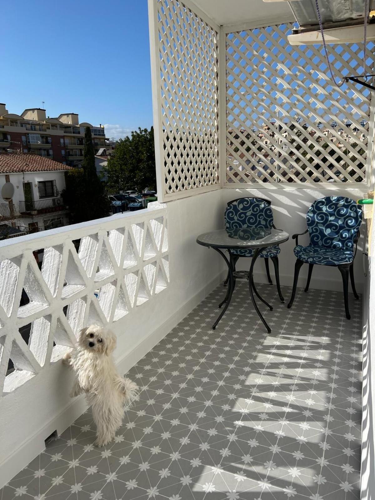 Apartamento Jardines Del Rocio Torre Del Mar Dış mekan fotoğraf