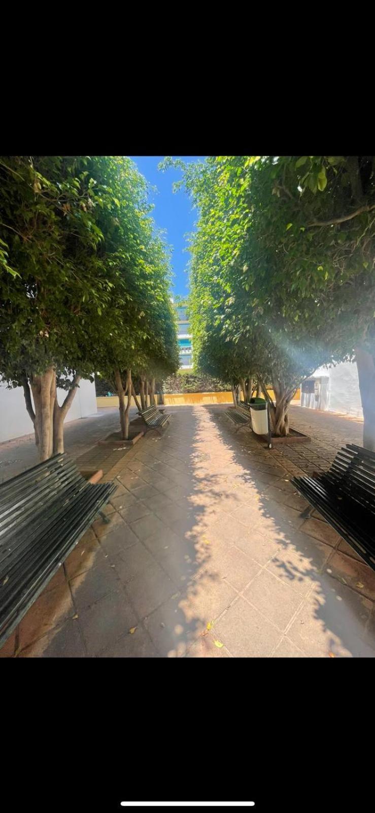 Apartamento Jardines Del Rocio Torre Del Mar Dış mekan fotoğraf